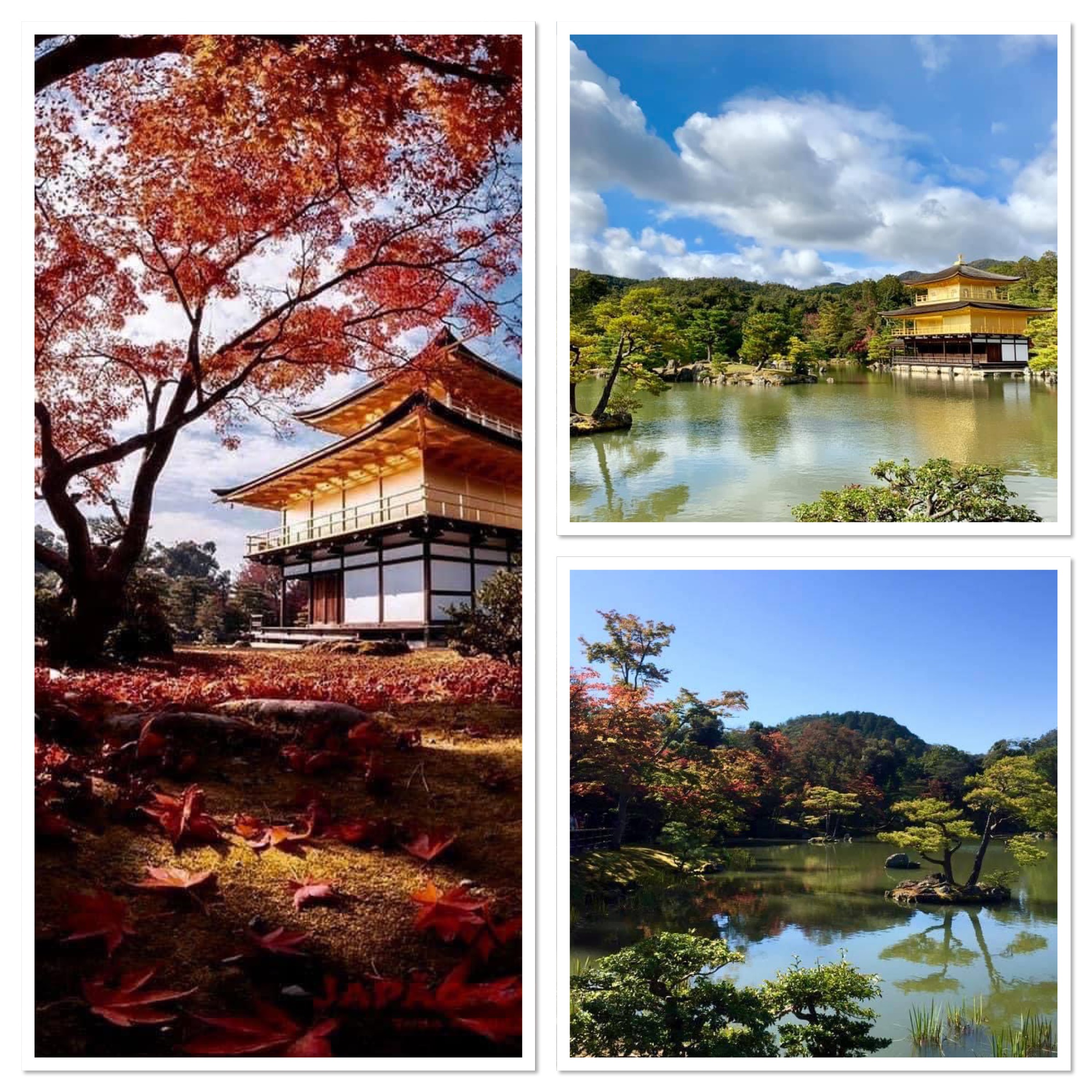 notícia Kinkaku-ji