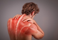 noticia Conheça mais sobre a Fáscia Muscular e os pontos gatilhos de dor