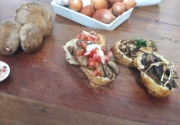 noticia Recita Vegetariana: Brusqueta de Cogumelos