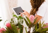 notícia Floriculturas online e a facilidade da compra online