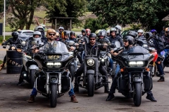 noticia FESTIVAL MOTO BRASIL 