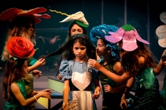 noticia  “Alice, Um Musical” estreia no Teatro Nathalia Timberg, no RJ