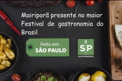 noticia Mairiporã tem representante no Festival Feito em SP!