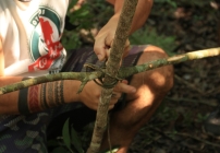 noticia Curso on-line Sobrevivência na selva