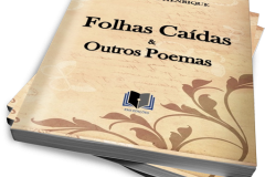 noticia Poeta Eriberto Henrique Publica o Livro Folhas Caídas & Outros Poemas 