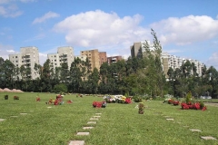 noticia Cemitério do Morumbi: um pouco da história deste tradicional cemitério de São Paulo