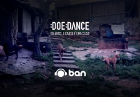 notícia Projeto Doe Dance promoverá evento com profissionais de diversas categorias para construir uma casa à mantenedora de um abrigo com cerca de 200 animais