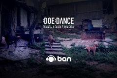 noticia Projeto Doe Dance promoverá evento com profissionais de diversas categorias para construir uma casa à mantenedora de um abrigo com cerca de 200 animais