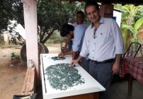 noticia 7ª Feira das Esmeraldas: minas de Campos Verdes/GO atraem cada vez mais olhares internacionais