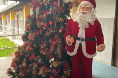 noticia SOLIDARIEDADE: Árvore de Natal da Casa dos Pobres São Francisco de Assis