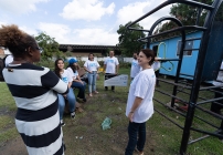 noticia Pestana Hotel Group apoia comunidade da Cidade de Deus com projeto social “Obrigado por Ajudar”
