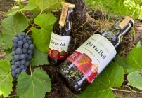 noticia Conheça 7 benefícios do Terra Sol, suco de uva integral fabricado no Vale do São Francisco