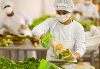 noticia Saladas prontas gourmet são a nova tendência de praticidade para manter rotinas saudáveis