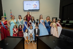 noticia Instituto GERP Promove Etapa Final do Miss Brasil 2023 em Noite de Glamour e Solidariedade