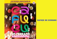 notícia Cafuçu do Cerrado celebra uma década no carnaval do DF com participação especial de Chico César