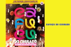 noticia Cafuçu do Cerrado celebra uma década no carnaval do DF com participação especial de Chico César