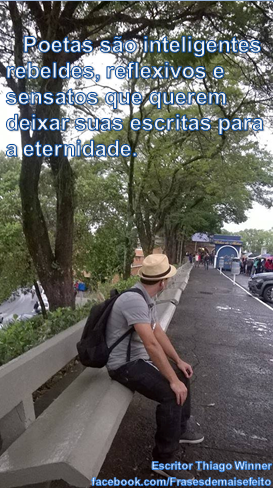 artigo Frase do escritor Thiago Winner