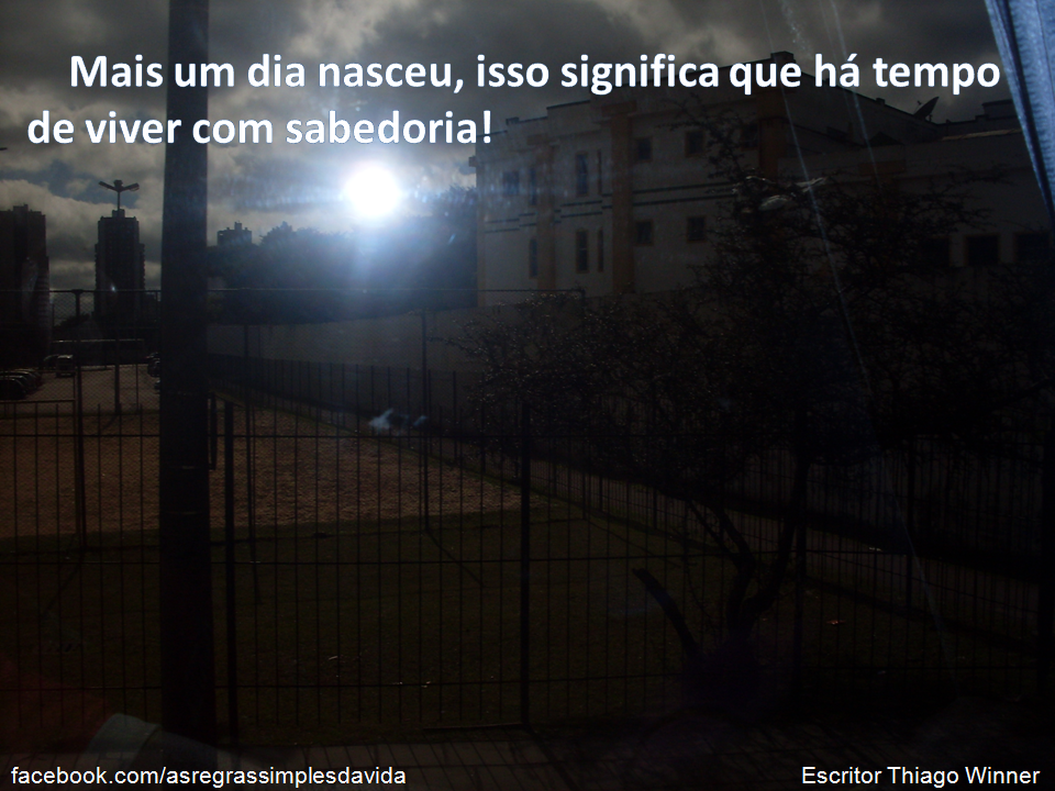 artigo Frase do escritor e poeta Thiago Winner