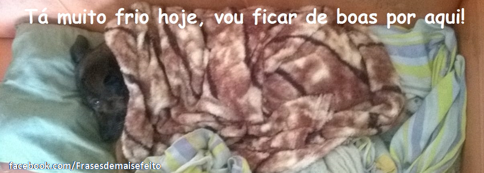artigo Frase do escritor Thiago Winner