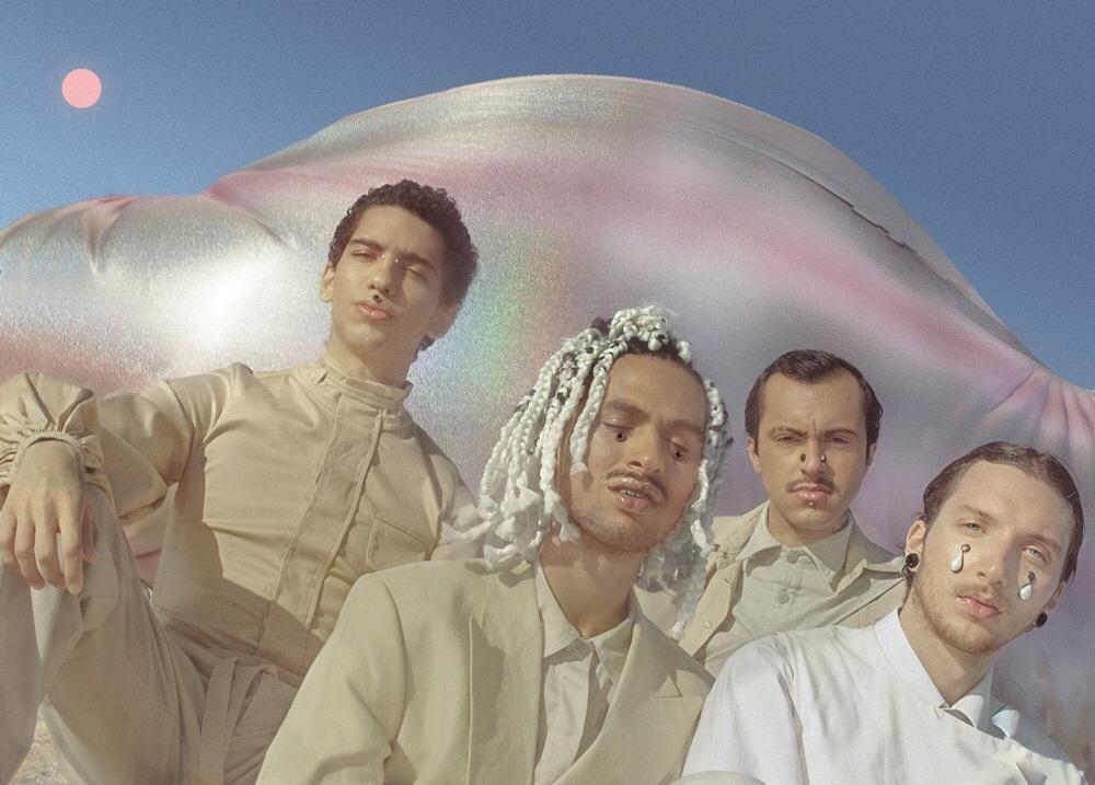 artigo ROSABEGE apresenta 