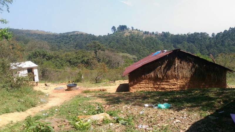 Galeria Voluntários visitam a Tribo Guarani no Pico do Jaraguá
