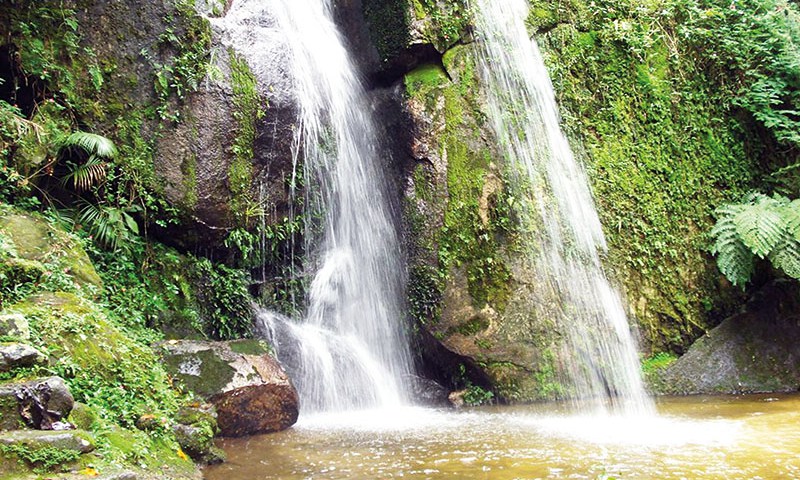 noticia Sistema Cantareira tem só 15% de vegetação natural