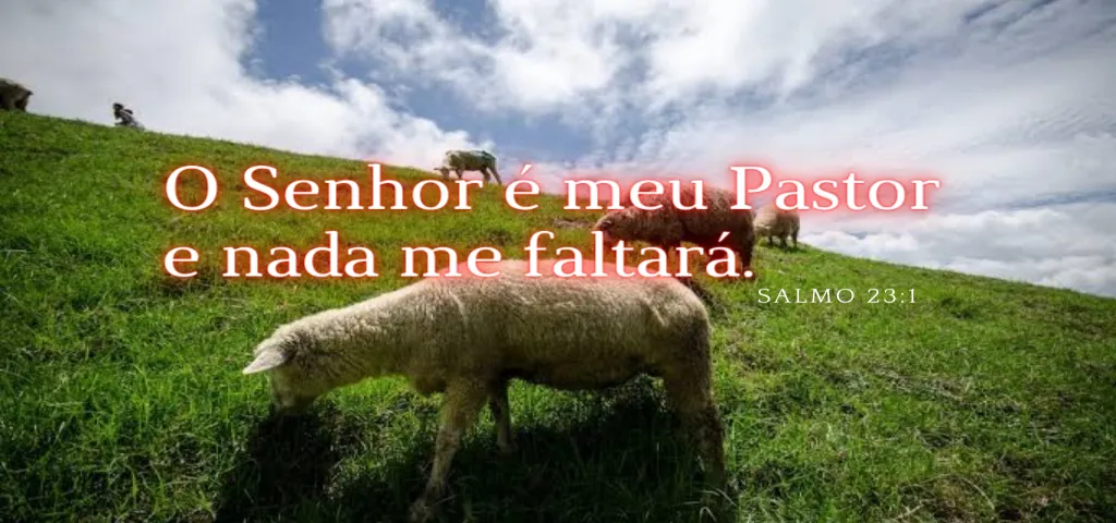 noticia PALAVRA DE HOJE - JESUS É O NOSSO PASTOR