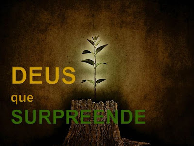 noticia PALAVRA DE HOJE - O DEUS QUE SURPREENDE