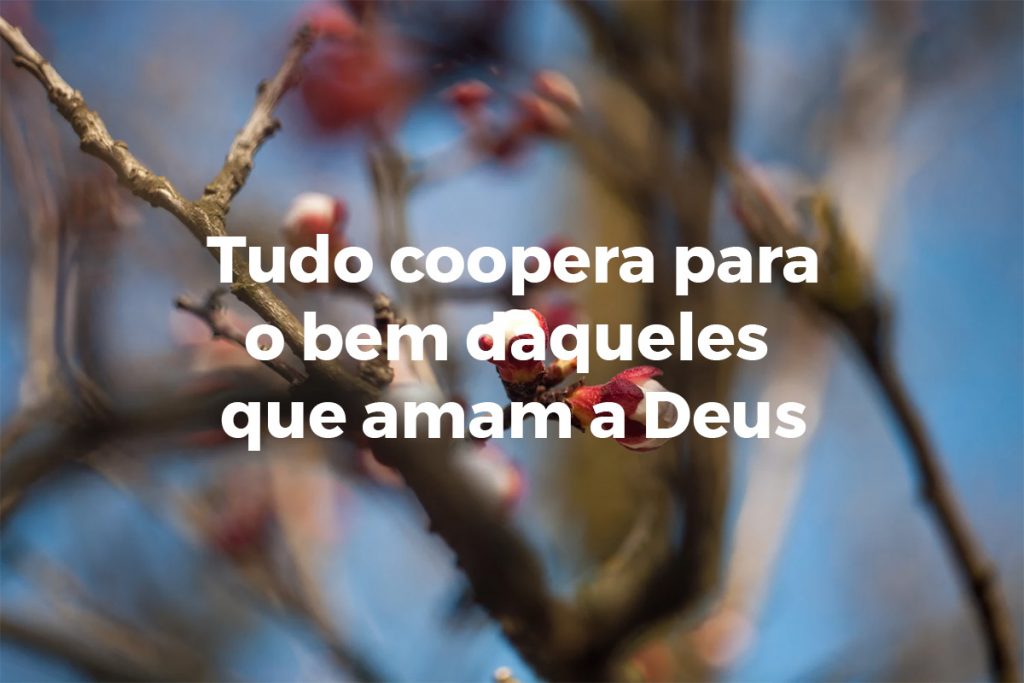 noticia PALAVRA DE HOJE - TUDO COOPERA PARA O BEM