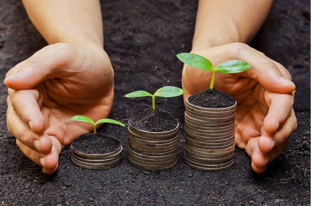 noticia Ecoeficiência: Produzir Mais com Menos Impacto