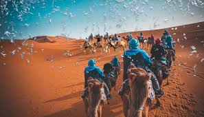 noticia PALAVRA DE HOJE - PROVISÃO DE DEUS