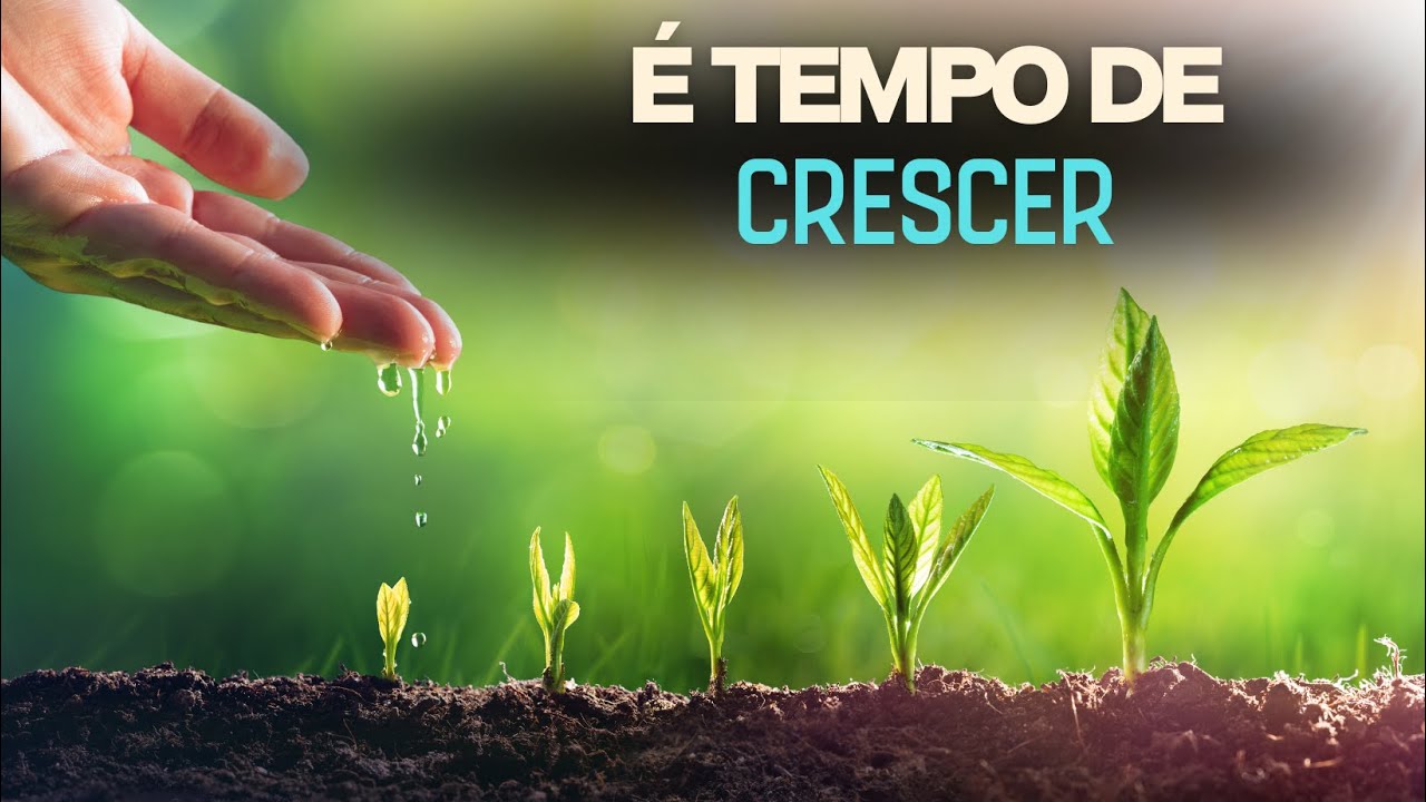noticia PALAVRA DE HOJE - TEMPO DE CRESCER