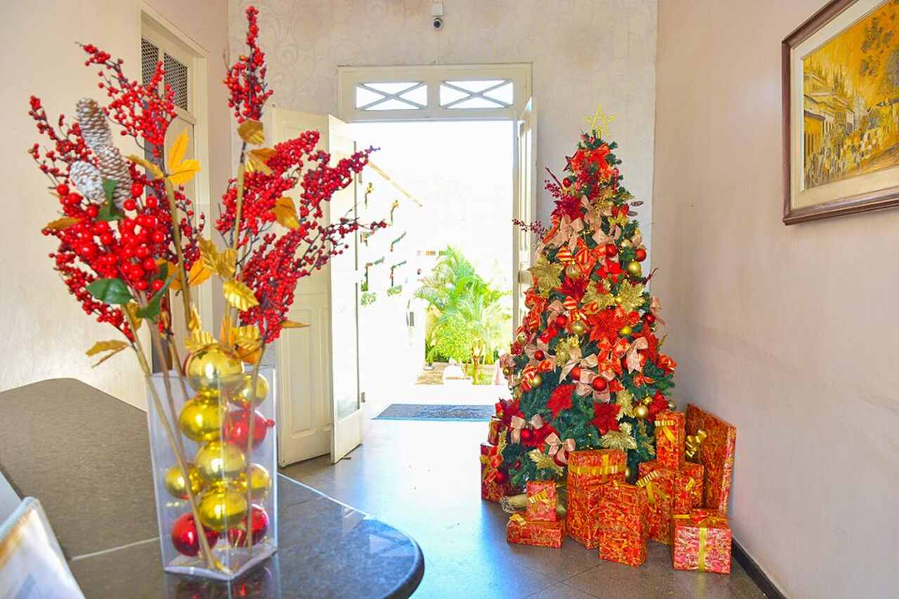 noticia Empresas e condomínios podem ter decorações natalinas sob medida
