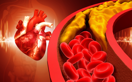 noticia Coração saudável: entenda como melhorar a saúde vascular