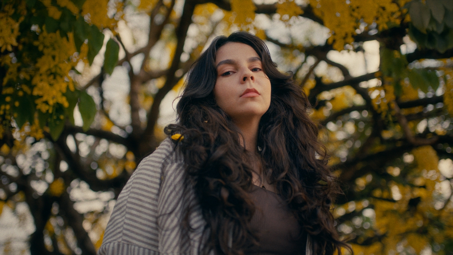 noticia Yás lança “Bússola”, canção que celebra despertar, escuta sensível e raízes