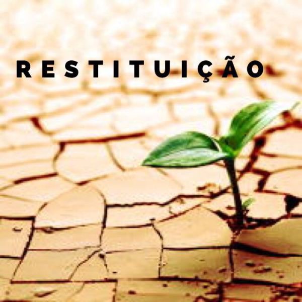 noticia PALAVRA DE HOJE - RESTITUIÇÃO