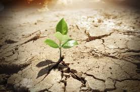 noticia PALAVRA DE HOJE - REINICIAR MESMO NAS DIFICULDADES