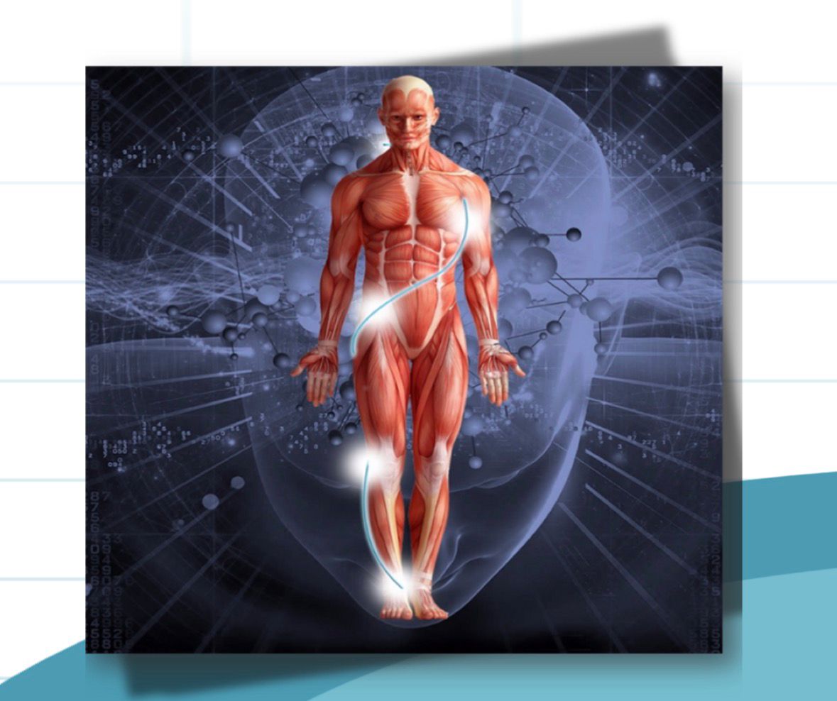 noticia Saúde Cerebral e Integrativa em debate