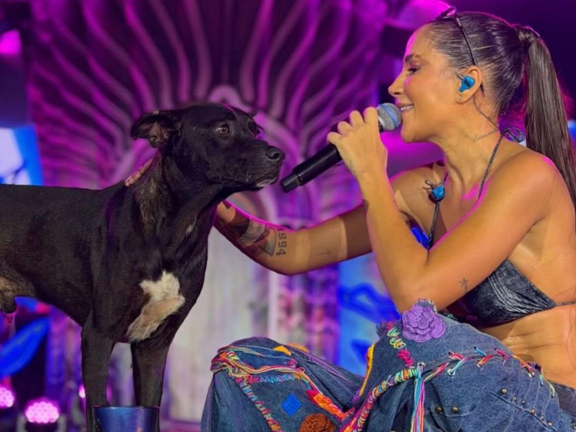 noticia Michele Andrade adota cão após momento emocionante em gravação de “Michele no Sertão das Maravilhas” 