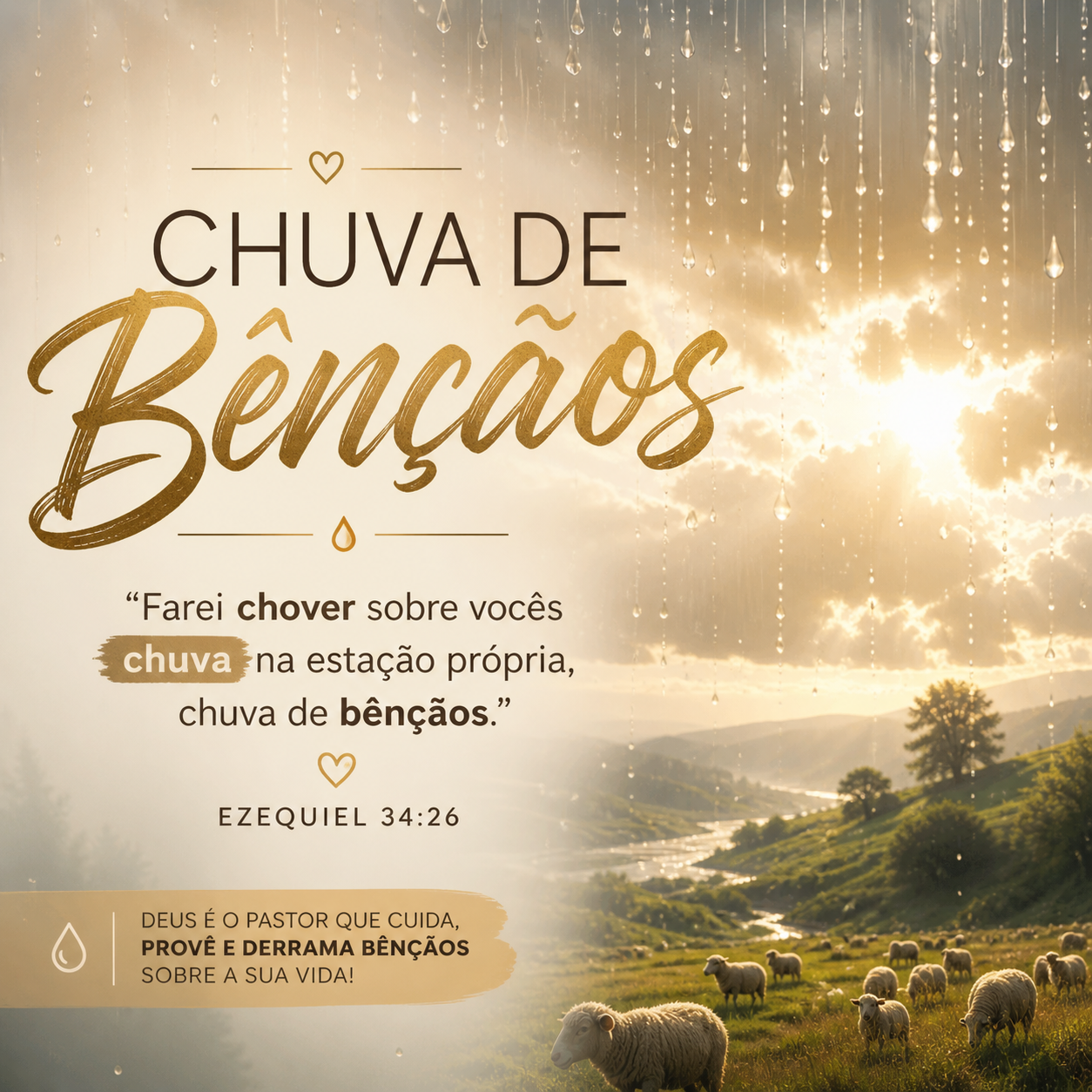 noticia PALAVRA DE HOJE - CHUVA DE BENÇÃOS