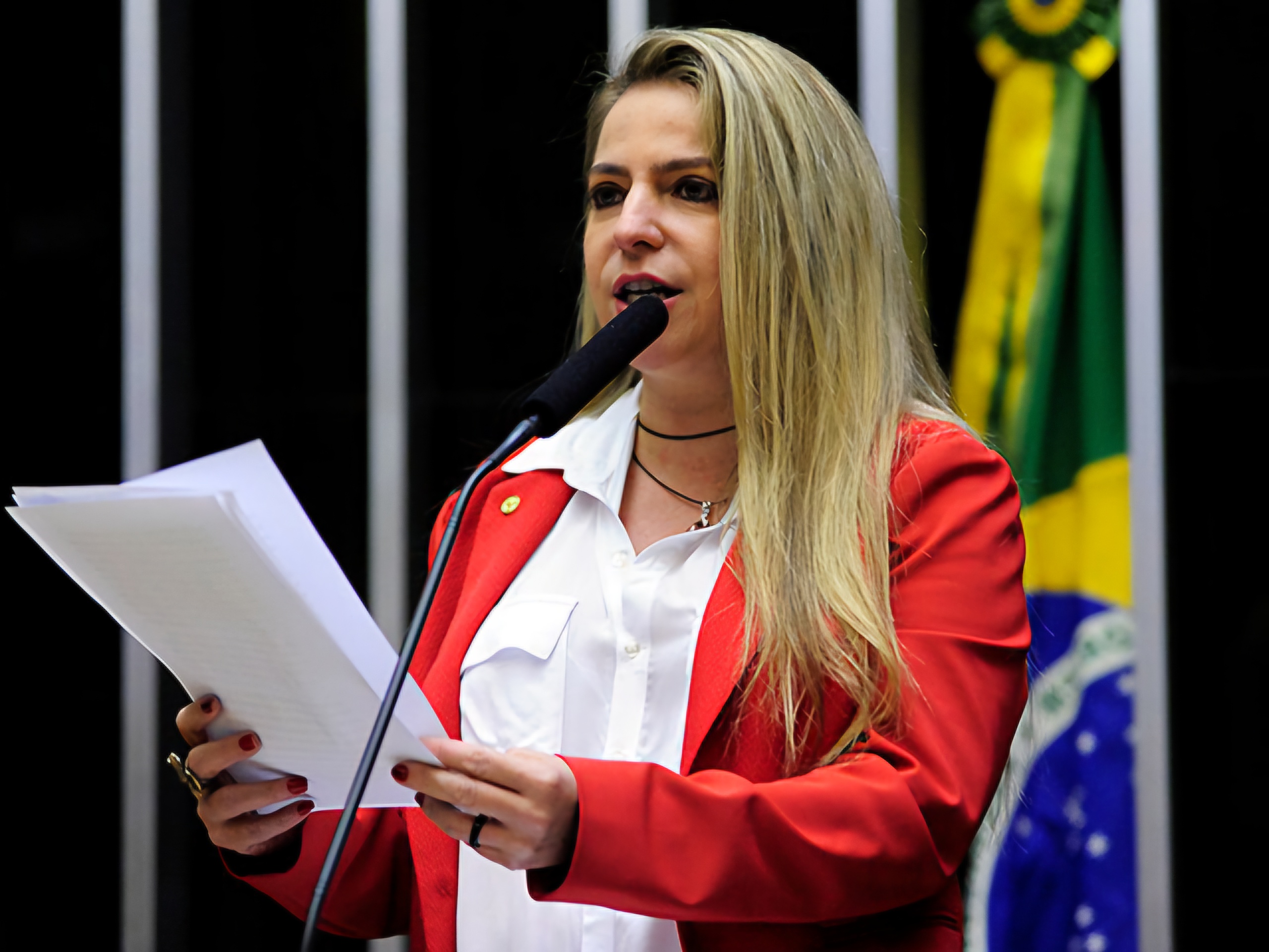 noticia Luizianne reúne agenda ambiental e políticas de cuidado em programa para o Senado