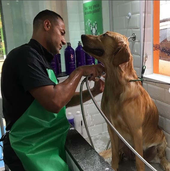 noticia Tendência de mercado, Pet Shower trabalha com espaço otimizado e planos econômicos