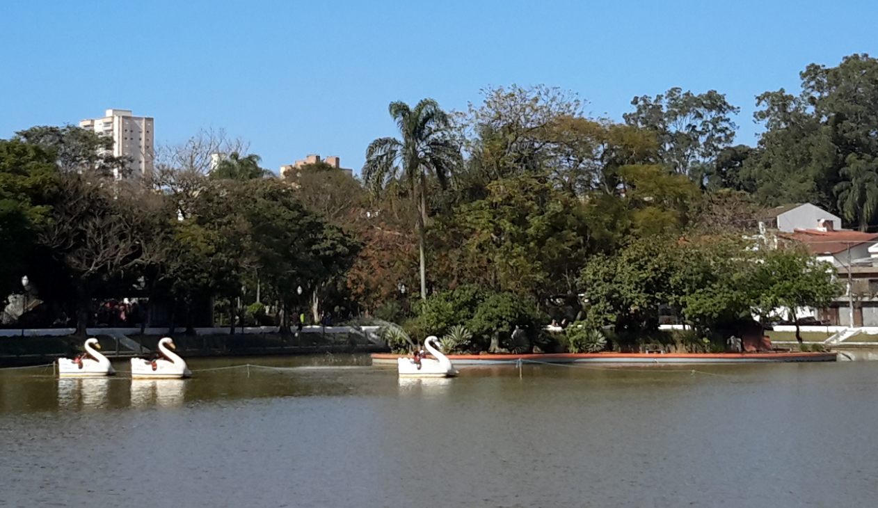 noticia Em Guarulhos - SP Lago dos Patos é uma boa opção de turismo e lazer