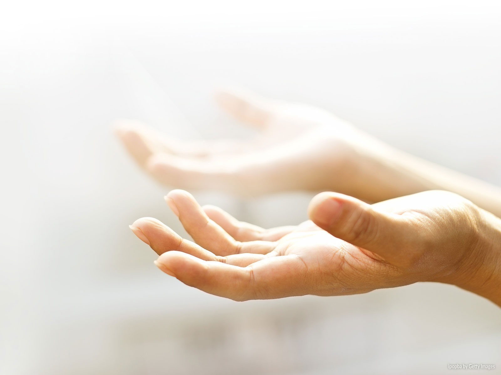 noticia PALAVRA DE HOJE - www.palavradehoje.net