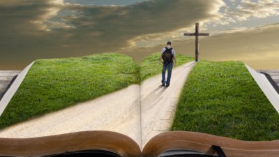 noticia PALAVRA DE HOJE - www.palavradehoje.net