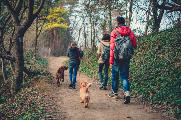 noticia Turismo de 4 patas, EcoPet roteiros especializados para seu amiguinho de 4 patas