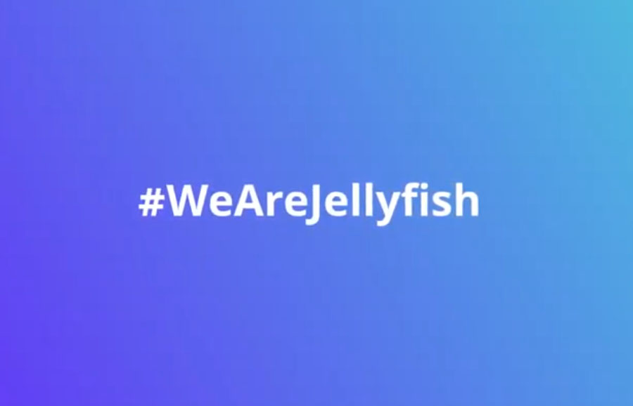 noticia Jellyfish comemora consolidação da operação no Brasil com campanha #WeAreJellyfish 
