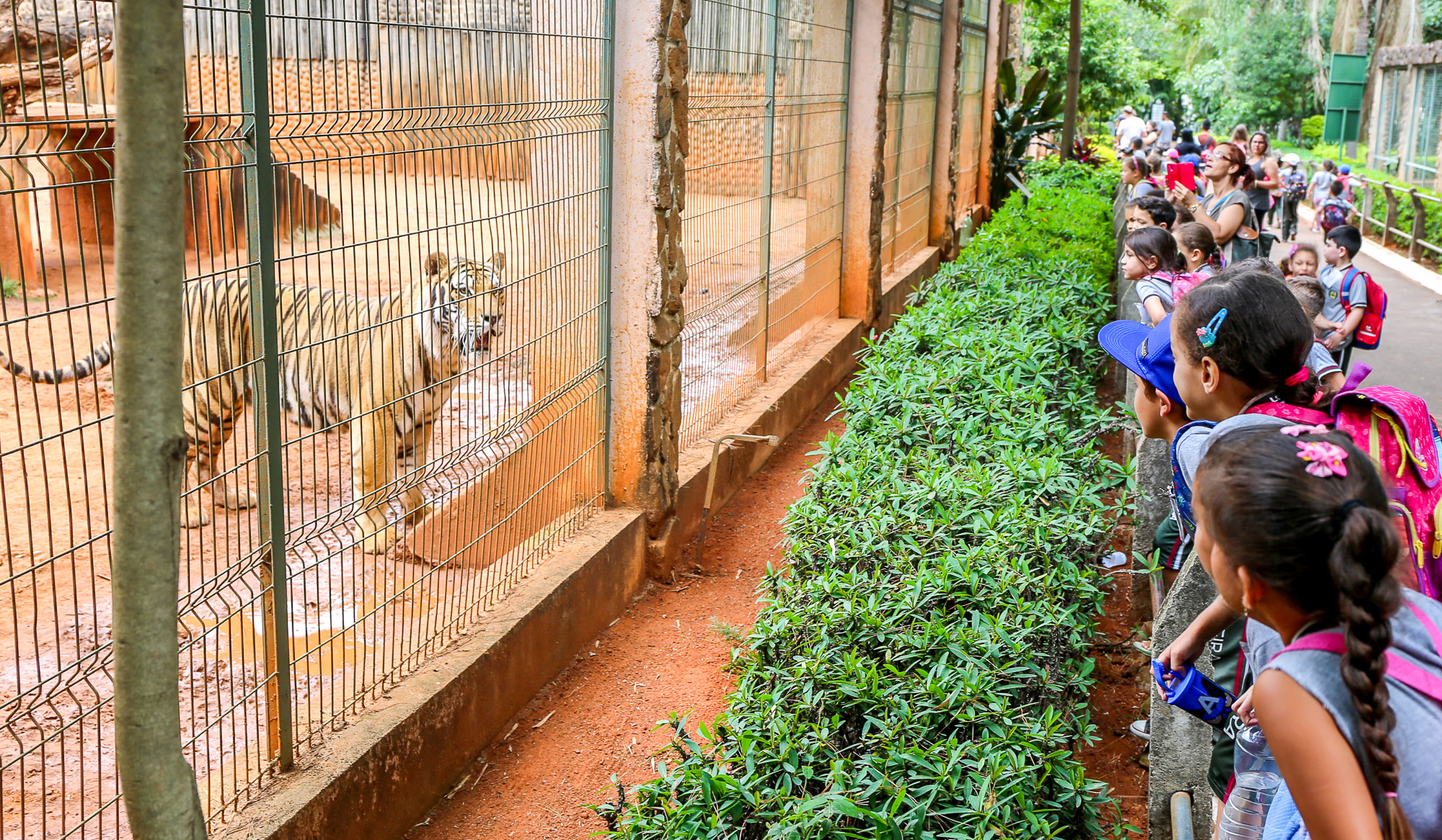 noticia Alunos da rede Municipal de Louveira visitam Zoológico de Americana