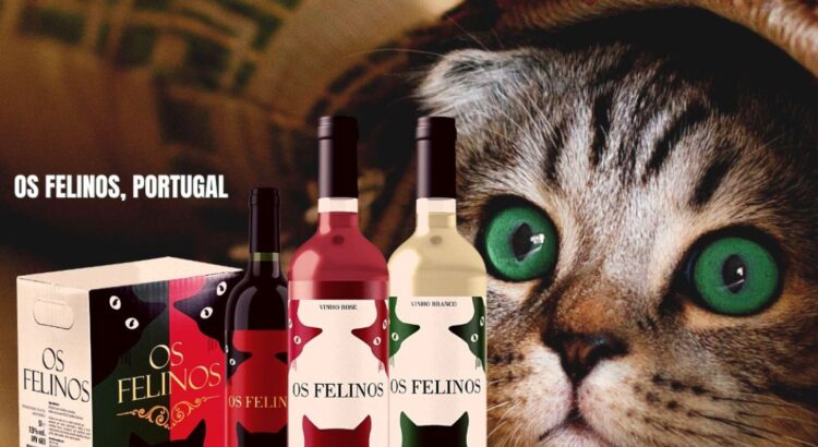 noticia Orion Vinhos anuncia o crescimento da família Felinos e lança branco e rosè