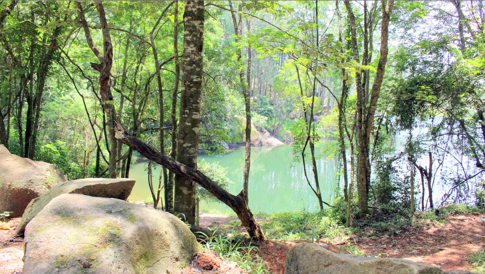 noticia SUJEIRA NA REPRESA DE MAIRIPORÃ. QUAL É A SOLUÇÃO? 